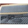 Image 2 : Smith & Wesson MP15 TR71628