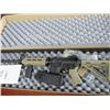 Image 2 : Palmetto State Armory PA-15 Multi  SCD730210