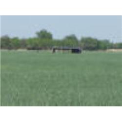 The SW/4 of Sec. 11, Twp. 20 N., R9 W.I.M., Major Co., OK.