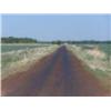 Image 3 : The SW/4 of Sec. 11, Twp. 20 N., R9 W.I.M., Major Co., OK.