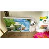 Image 2 : SHELF OF ASSORTED ITEMS INCLUDING; GONZALEZ HAT, SHIRTS, LIQUID GOLD TOILER CONVENIENCE PACK & MORE