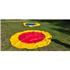 Image 2 : LOT OF 2 COMPLETE INFLATABLE SUMO SUITS & 2 9' SUMO MATS