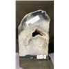 Image 1 : ORTHOCERAS FOSSIL SPECIMEN 13" X 4"RETAIL $1200.00