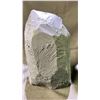 Image 4 : ORTHOCERAS FOSSIL SPECIMEN 13" X 4"RETAIL $1200.00