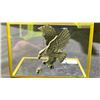 Image 2 : CLEAR QUARTZ & PYRITE EAGLE DISPLAY