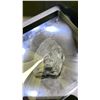 Image 2 : SHUNGITE