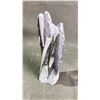 Image 2 : ORTHOCERAS FOSSIL APPROX 8.5" RETAIL $1200