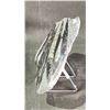 Image 2 : ORTHOCERAS FOSSIL APPROX 9X6" RETAIL $1200