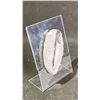 Image 2 : ORTHOCERAS FOSSIL APPROX 4.7" RETAIL $600