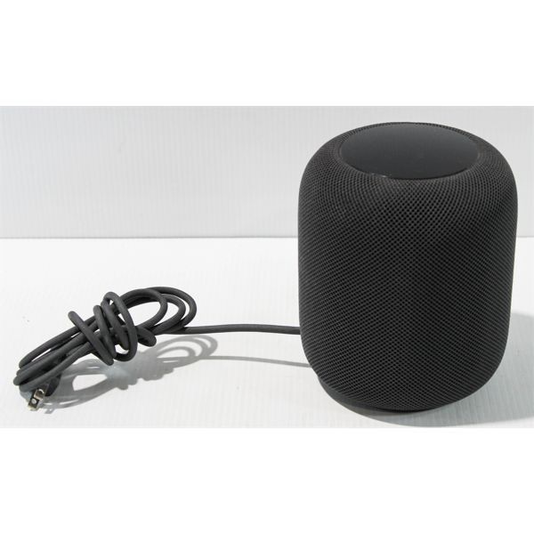 APPLE HOME POD