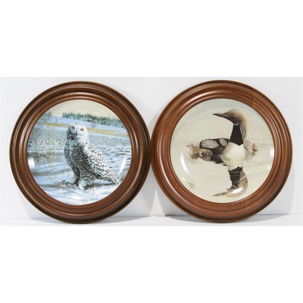 TWO FRAMED DECORTAIVE PLATES: THE SNOY OWL & PACIFIC LOON