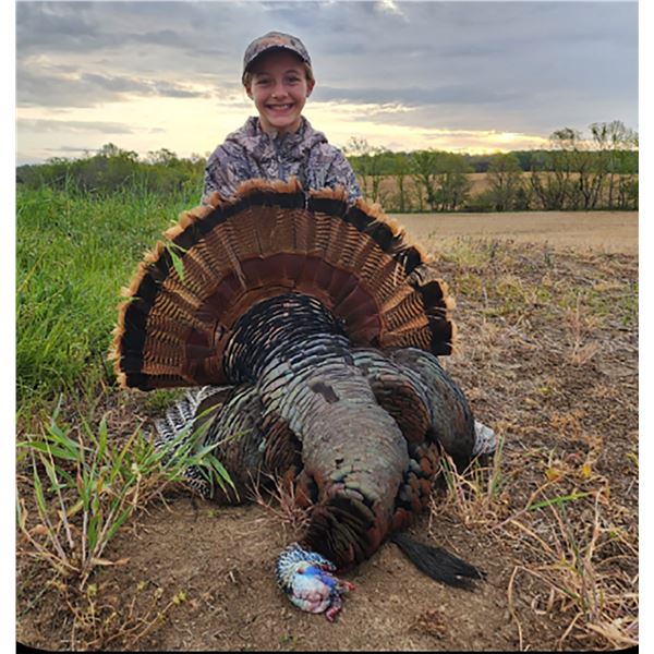 MIDWEST CUSTOM HUNTS: World Class Eastern Turkey Hunt for One Hunter and One Non-Hunter in the bea