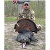 Image 2 : MIDWEST CUSTOM HUNTS: World Class Eastern Turkey Hunt for One Hunter and One Non-Hunter in the bea