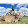 Image 1 : X-FACTOR WHITETALES OF INDIANA: Trophy Northeastern Whitetail Hunt for One Hunter and One Non-Hunter