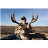 Image 1 : BUCKBRUSH OUTFITTERS: Combination White-Tailed Deer & Mule Deer Combination Archery Hunt in Alberta,