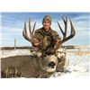 Image 2 : BUCKBRUSH OUTFITTERS: Combination White-Tailed Deer & Mule Deer Combination Archery Hunt in Alberta,