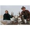 Image 6 : BUCKBRUSH OUTFITTERS: Combination White-Tailed Deer & Mule Deer Combination Archery Hunt in Alberta,