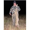 Image 1 : INFINITO SAFARIS: 7 Day/6 Night Small Game Hunt in South Africa for One Hunter