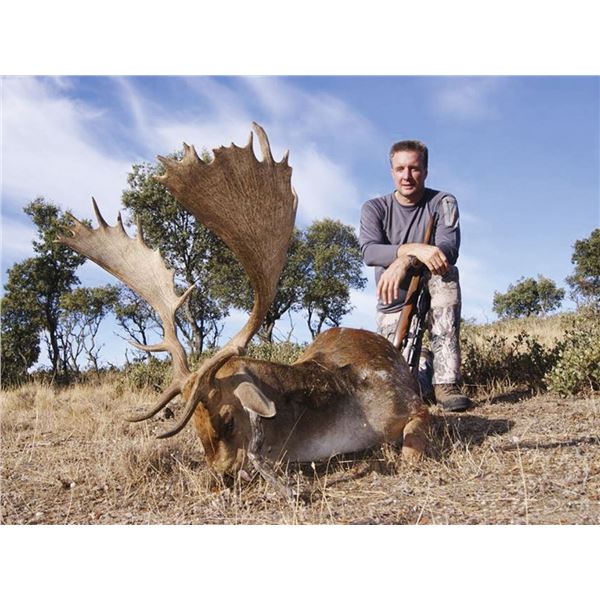 SPAIN SAFARIS: Iberian Red Deer or Fallow Deer Hunt in Spain for Two Hunters.
