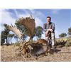 Image 1 : SPAIN SAFARIS: Iberian Red Deer or Fallow Deer Hunt in Spain for Two Hunters.