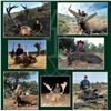 Image 2 : ATP HUNT: Spanish Hunting Adventure for One Hunter and One Non-Hunter