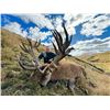 Image 1 : NEW ZEALAND HUNTING ADVENTURES: 5-Day Guided Hunting Adventure in New Zealand for Two Hunters and Tw