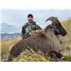 Image 3 : NEW ZEALAND HUNTING ADVENTURES: 5-Day Guided Hunting Adventure in New Zealand for Two Hunters and Tw