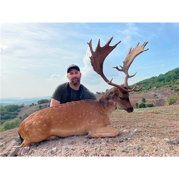 SAFARI INTERNATIONAL MACEDONIA: 5-day Fallow Deer, Wild Boar and Red Fox Hunt