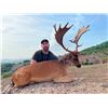 Image 1 : SAFARI INTERNATIONAL MACEDONIA: 5-day Fallow Deer, Wild Boar and Red Fox Hunt