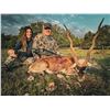 Image 1 : SAFARI SPECIALIST GROUP: 3-Day Axis and Blackbuck Hunt in the Texas Hill Country