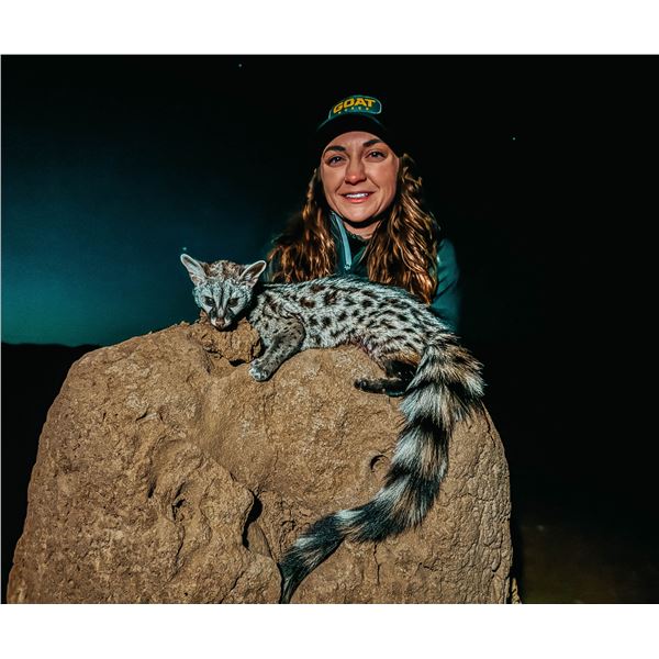 RHINOLAND SAFARIS: 7-day Night Critter Hunt for One Hunter and One Observer in South Africa