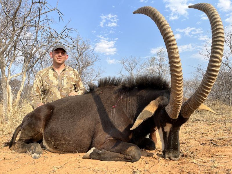 Sable Hunter THORMAHLEN AND COCHRAN SAFARIS: Extraordinary 8-Day Sable Hunt for One ...