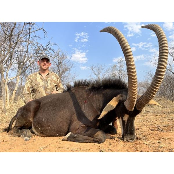 THORMAHLEN AND COCHRAN SAFARIS: Extraordinary 8-Day Sable Hunt for One Hunter and One Non-Hunter
