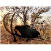 Image 2 : THORMAHLEN AND COCHRAN SAFARIS: Extraordinary 8-Day Sable Hunt for One Hunter and One Non-Hunter