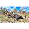 Image 3 : HERITAGE SAFARIS: Exceptional East African 7-day Hunt for One Hunter