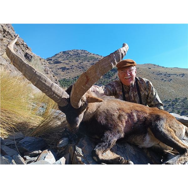 SPANISH IBEX HUNTS: 4-Day Spanish Ibex Hunt for Two Hunters and Two Observers in Spain