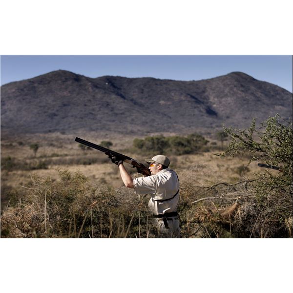 DAVID DENIES BIRD HUNTING: 3-Day High Volume Dove Hunt in Argentina for Eight Hunters
