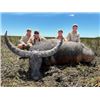 Image 4 : R&R OUTFITTERS AUSTRALIA: 5-Day Hunt for One Hunter and One Non-Hunter for Trophy Buffalo in Austral