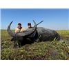 Image 5 : R&R OUTFITTERS AUSTRALIA: 5-Day Hunt for One Hunter and One Non-Hunter for Trophy Buffalo in Austral