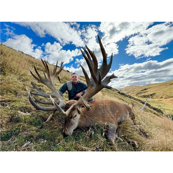 NEW ZEALAND HUNTING ADVENTURES: 5-Day Red Stag Hunt (Up to 525 SCI) for One Hunter and One Non-Hunte