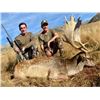 Image 2 : NEW ZEALAND HUNTING ADVENTURES: 5-Day Red Stag Hunt (Up to 525 SCI) for One Hunter and One Non-Hunte