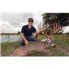 Image 2 : COTTON MESA: 3-Day Trophy Whitetail Hunt for One Hunter in Texas