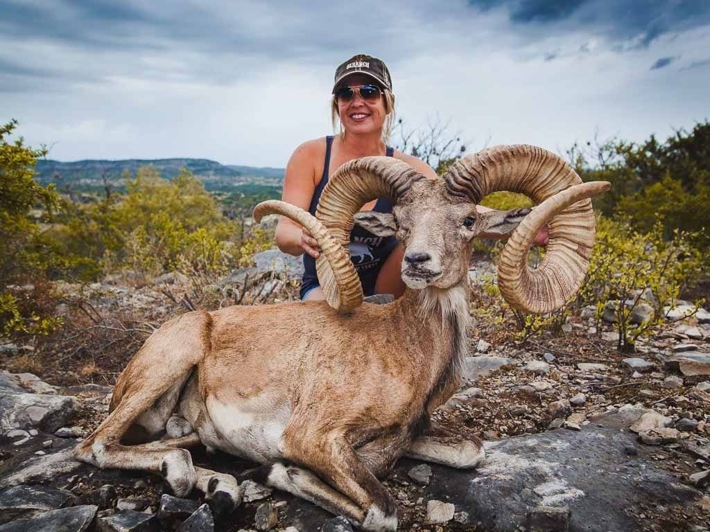 OX RANCH: All Inclusive Exotics Hunting Package with Ox Ranch