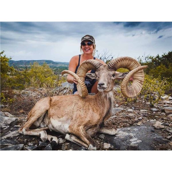OX RANCH: All Inclusive Exotics Hunting Package with Ox Ranch