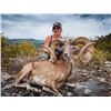 OX RANCH: All Inclusive Exotics Hunting Package with Ox Ranch