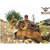 Image 4 : OX RANCH: All Inclusive Exotics Hunting Package with Ox Ranch