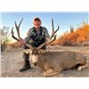 29S  WLH SONORA AND RANCHO EL CHAPARRAL: 4Day Bronze Class Mule Deer Hunt for One Hunter in Mexico