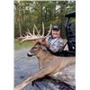 Image 4 : BIG COVE WHITETAIL: Trophy Whitetail Hunt in Pennsylvania for One Hunter and One Non-Hunter