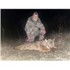 Image 2 : SAFARI EHA: European Wolf Hunt in Macedonia for Two Hunters