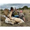 Image 2 : RECORDBUCK RANCH: 3-Day Fallow Deer Hunt for One Hunter and One Non-Hunter in Texas